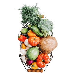 Barnyard Millets - NPOP - Bulk